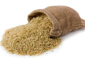 مراحل تولید برنج ارگانیک