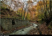 پاییز در البرز