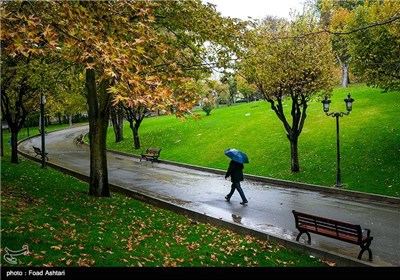 بارش باران پاییزی - پارک ملت تهران