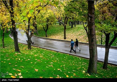 بارش باران پاییزی - پارک ملت تهران