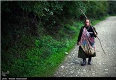 تهیه رب انار در کردکوی - گلستان