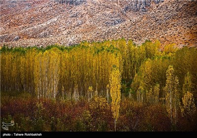 پاییز در شیراز