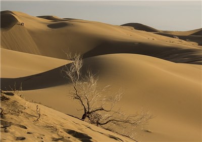 کویر مرنجاب