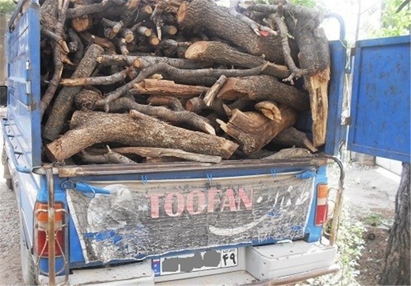 قیمت چوب خشک بلوط