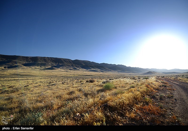 Iran&apos;s Bamou National Park