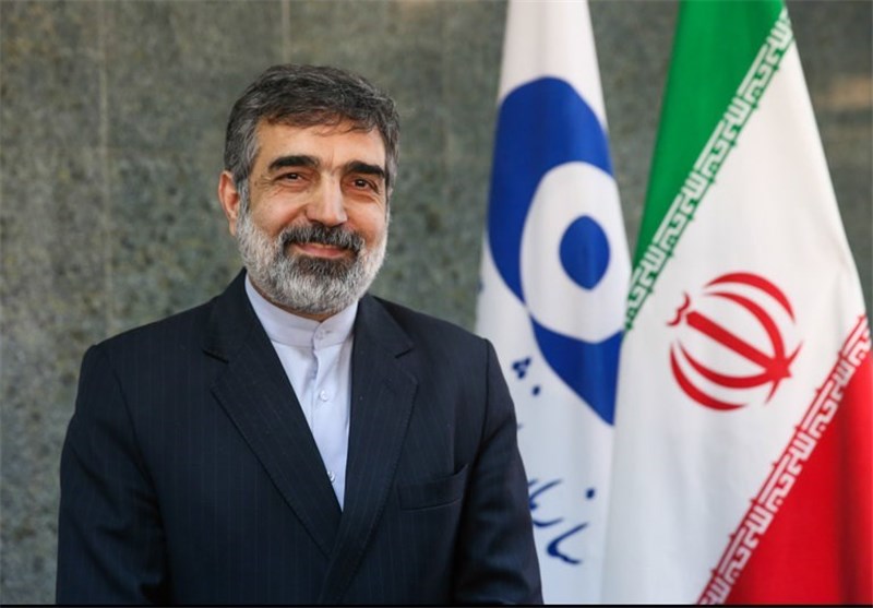 Iran Keen to Boost Nuclear Cooperation with EU