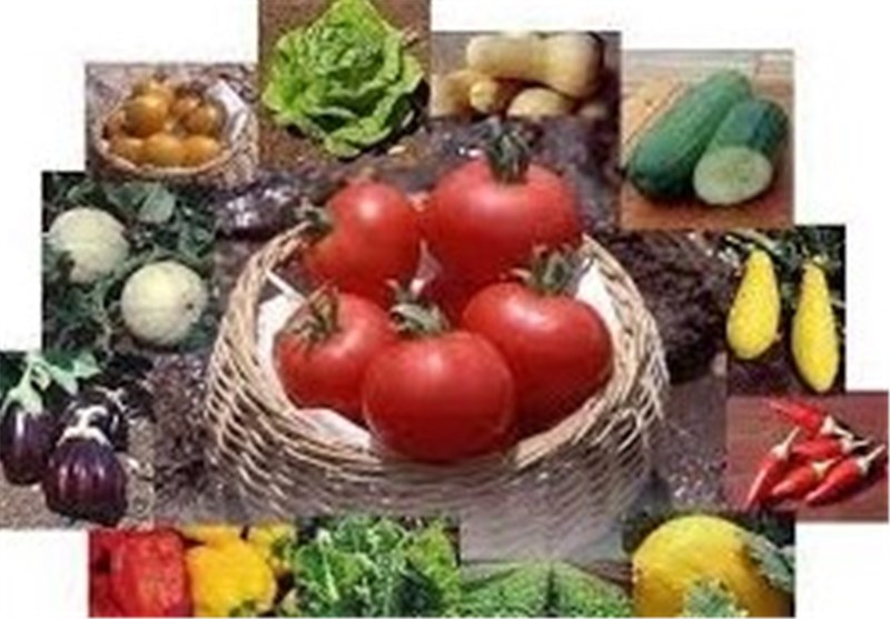 5 طرح کشاورزی در جشنواره ابتکارات بسیج گیلان برگزیده شد