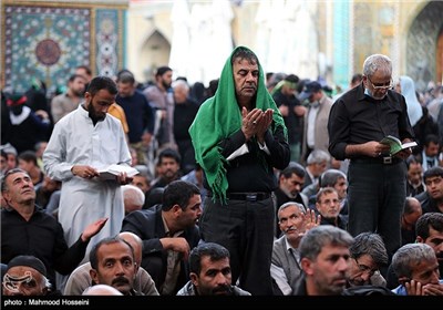 زائران اربعین حسینی در حرم حضرت علی علیه السلام