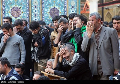 زائران اربعین حسینی در حرم حضرت علی علیه السلام