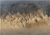 عکس|برف شدید سیبری راپوشاند