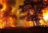 آمادگی پلیس برای برخورد با عاملان آتش‌سوزی مراتع و جنگل‌های گیلان