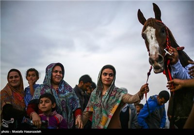 هفته دهم مسابقات اسب‌دوانی پاییزه کشور در گنبدکاووس