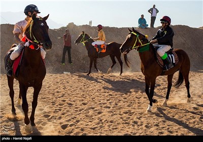 کورس پاییزه اسب سواری در یزد