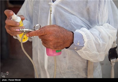 طرح واکسیناسیون احشام در کرمانشاه