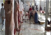آغاز طرح ساماندهی کشتار و عرضه گوشت دام و طیور در شهرری