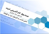 30 صندوق خرد زنان روستایی در استان بوشهر تشکیل شد
