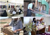 350 طرح اشتغال‌زایی در استان قزوین اجرا می‌شود/ فراهم شدن زمینه سرمایه‌گذاری بخش خصوصی در استان
