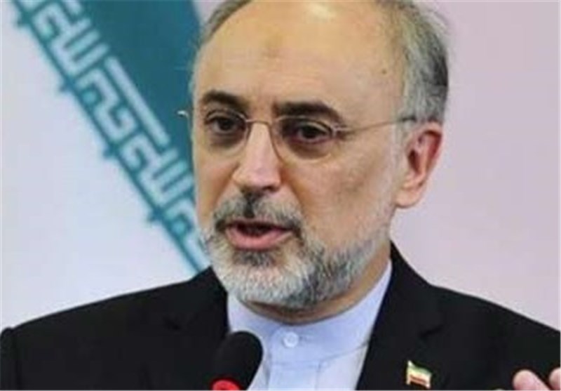 US in State of ‘Political Confusion’ over JCPOA: Iran’s Salehi