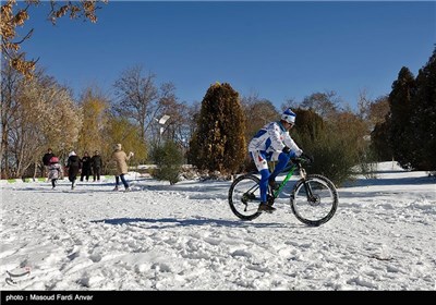 بارش برف در تبریز