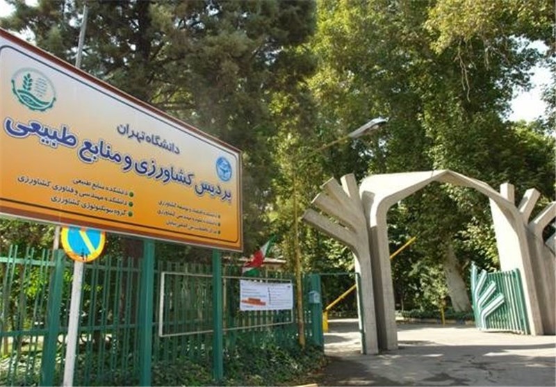 کرج| 20 درصد از تولیدات دانشگاه تهران در پردیس کشاورزی تولید می‌شود