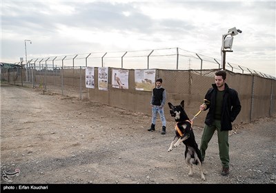 Iran Marks International Cheetah Day