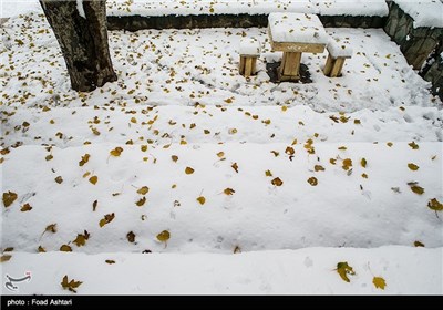 Snow Blankets Iranian Capital