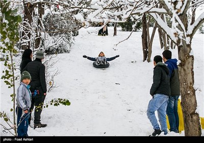 Snow Blankets Iranian Capital