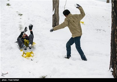 بارش برف در تهران