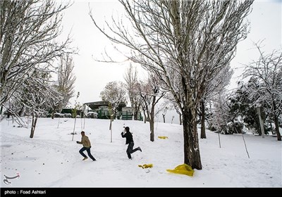 Snow Blankets Iranian Capital