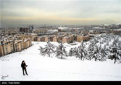 بارش برف در تهران