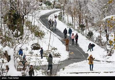 Snow Blankets Iranian Capital