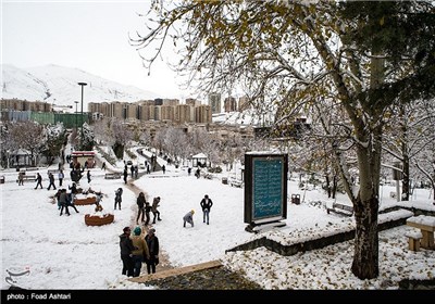 Snow Blankets Iranian Capital