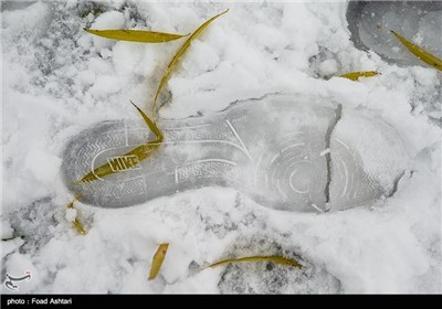 Snow Blankets Iranian Capital