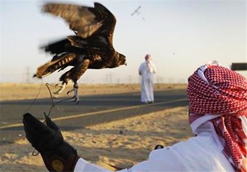 شکار پرنده کمیاب «هوبره» توسط دادگاه عالی پاکستان برای شاهزادگان عرب آزاد شد