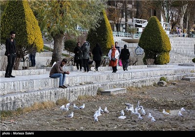 Iran’s Zayanderud River Hosts Migratory Birds