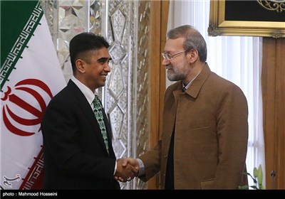 Indonesian MPs Meet Speaker Larijani in Iran