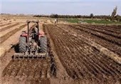 حضور سودجویان برای شخم زدن اراضی ملی در زنجان
