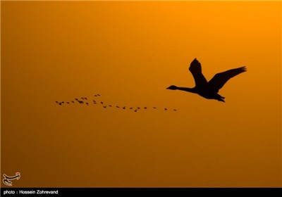 Iran’s Beauties in Photos: Sorkh Rood Wetlands