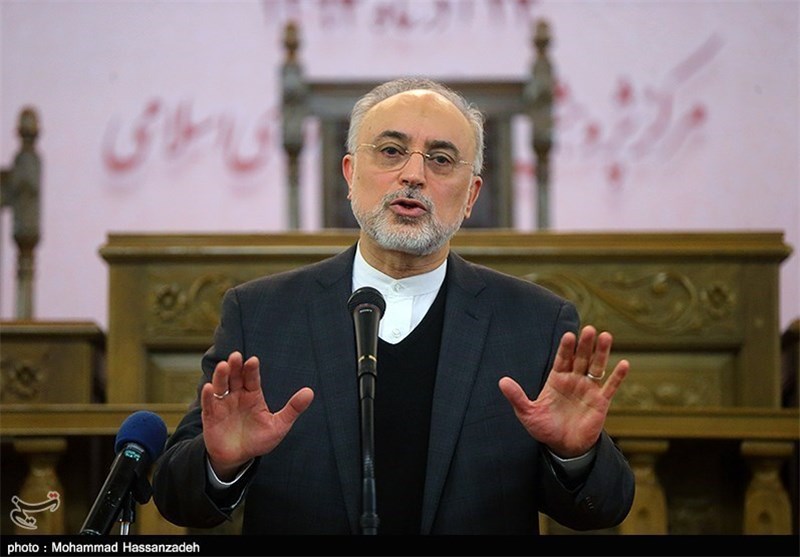 Iran Begins Removing Centrifuges Following IAEA Resolution: Salehi
