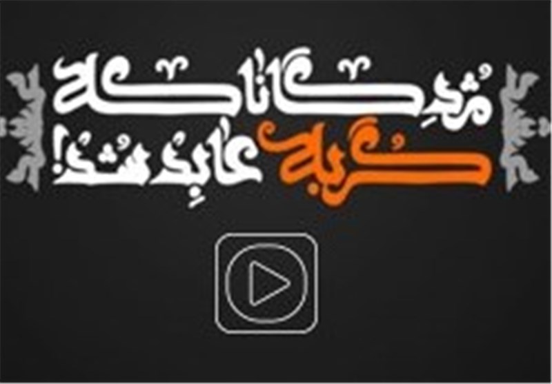 نماهنگ/«مژدگانا که گربه عابد شد»