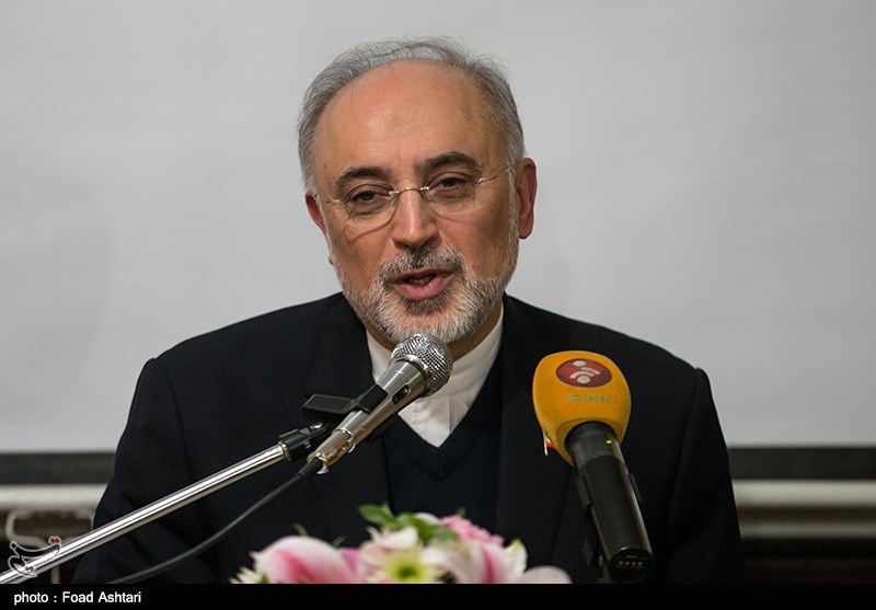 صالحی: ایران 2 نیروگاه هسته‌ای دیگر در بوشهر می‌سازد