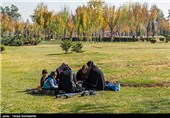 جشنواره غذاهای بومی و محلی شیراز