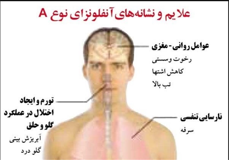 چرا آنفلوآنزای فصلی فعال است/وضع ابتلای انسانی آنفلوآنزای پرندگان در ایران