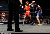 مسابقات بوکس انتخابی تیم ملی در مازندران