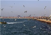 تفریحات دریایی در سواحل استان بوشهر ممنوع شد