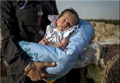 نوزاد ربوده شده ازبیمارستان درمشهد پیداشد