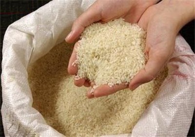 3 نوع برنج تنظیم بازار در خراسان جنوبی در حال توزیع است