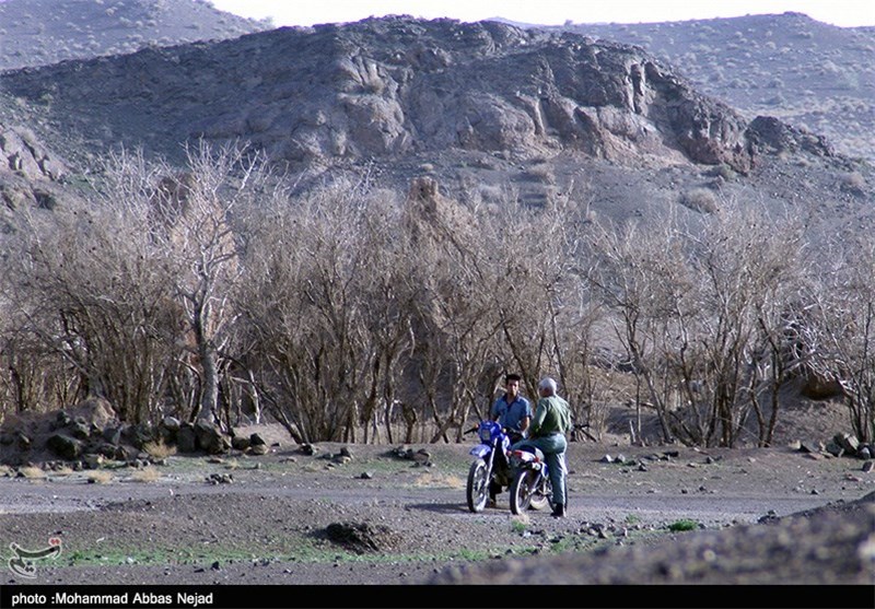 آمار قرق‌بانان اصفهان یک دهم استاندارد جهانی است