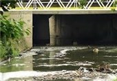راهکارهایی برای حل معضلات زیست محیطی رودخانه‌های گیلان انجام می‌شود