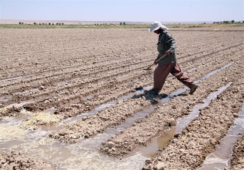 سیستم‌های سنتی آبیاری در مزارع استان قزوین پاسخگو نیست